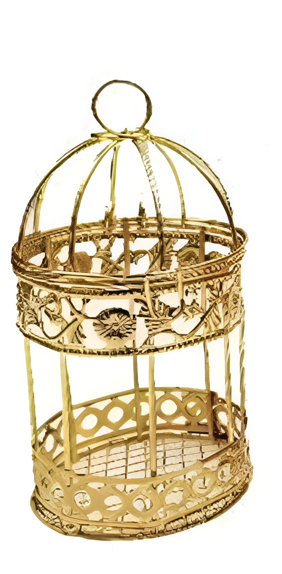 Metallic bird Cages for home decor and gift (pack of 3) buy online in Pakistan