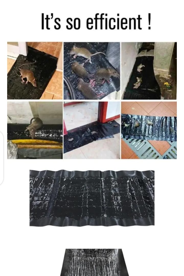 Effective Rat and Mouse Glue Mat Trap - 120x28cm Sticky Rodent Catcher Sheet for Pest Control | Mouse Trap Carpet buy online in Pakistan