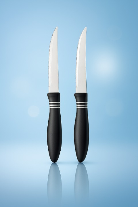 2 Pcs Concord Stainless Steel Kitchen Knife – Multipurpose Table Knife with Serrated Edge, 12 cm (Random color) buy online in Pakistan