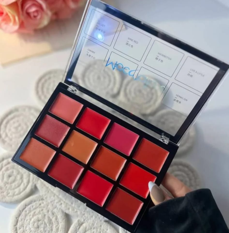 Mocallure 12-Color Lip Palette / Long-Lasting Professional Lip Kit for Every Mood buy online in Pakistan