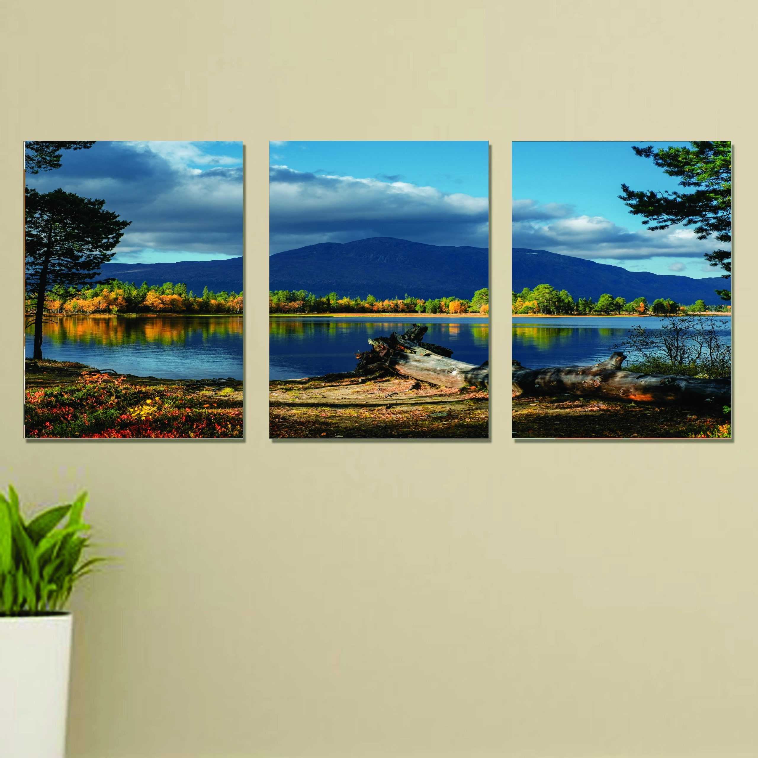 Set of 3 nature wall art phototile frame buy online in Pakistan