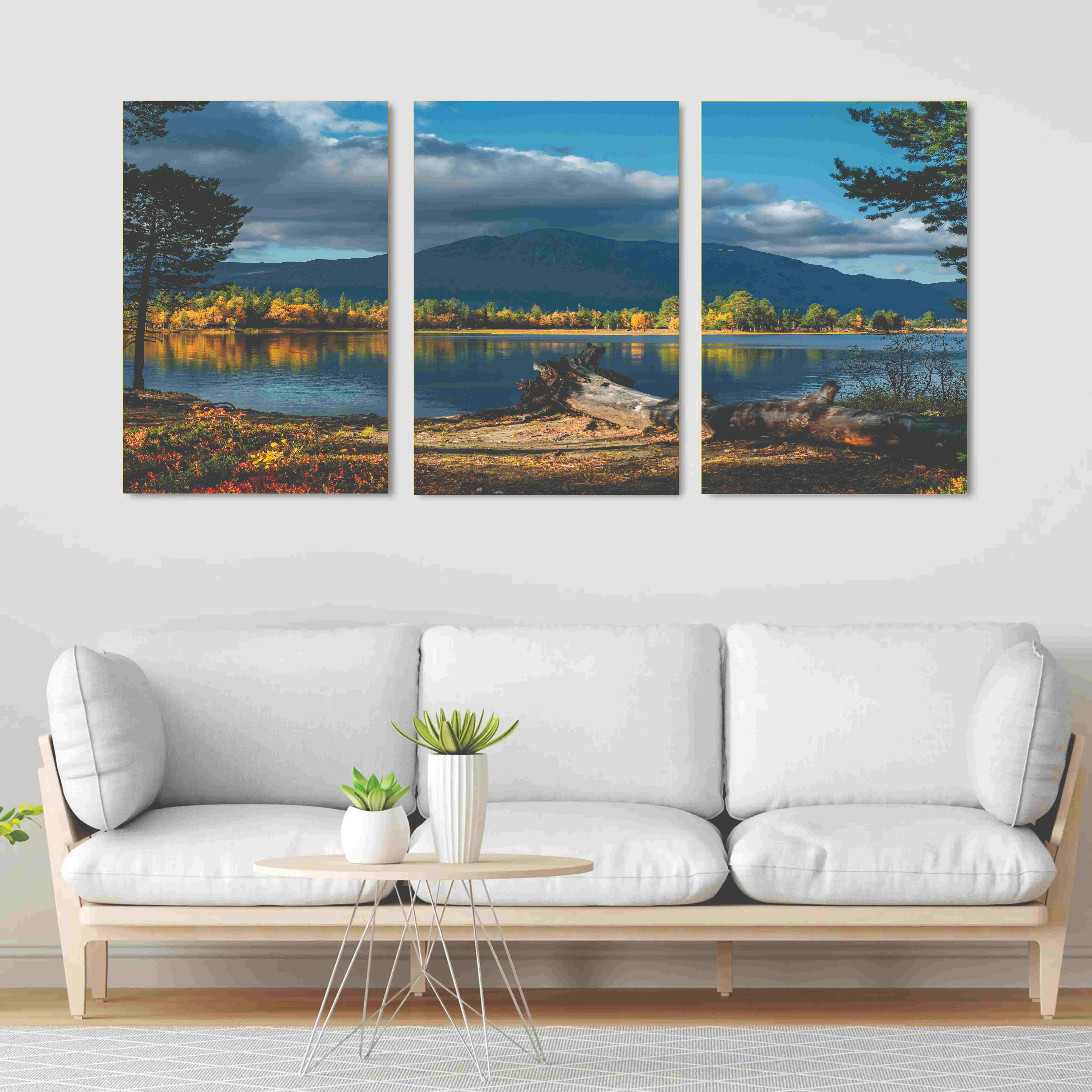 Set of 3 nature wall art phototile frame buy online in Pakistan
