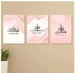 Set of 3 Flower Wall Art Wooden Canvas Frames (8×11 Inches) – Elegant Home Wall Décor with Hooks & Optional Sticky Tape buy online in Pakistan