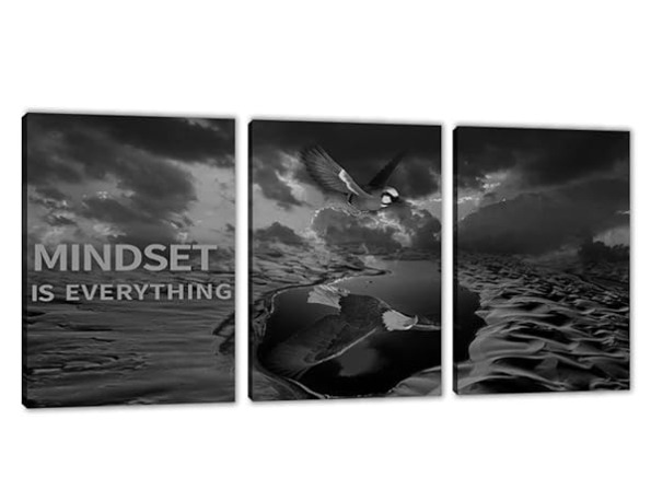 set of 3 Motivational sticky canvas frames for wall decore / sticky phototiles for office and home workplace buy online in Pakistan