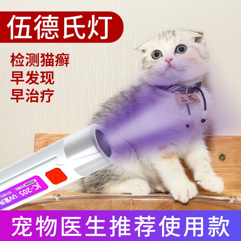 Handheld LED UV Money Currency Detector for Fake Note and Checker for Counterfeit Fake Banknotes thumbnail 2