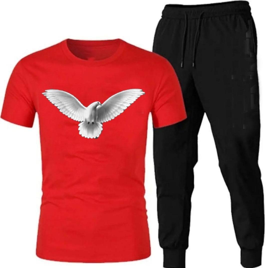 Premium Micro Men’s Tracksuit Pigeon Print – Comfortable Sportswear | Gym & Workout Suit view 2