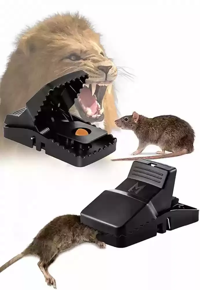 Pack of 3 Efficient Mouse Trap - Suitable for both Indoor and Outdoor use view 4