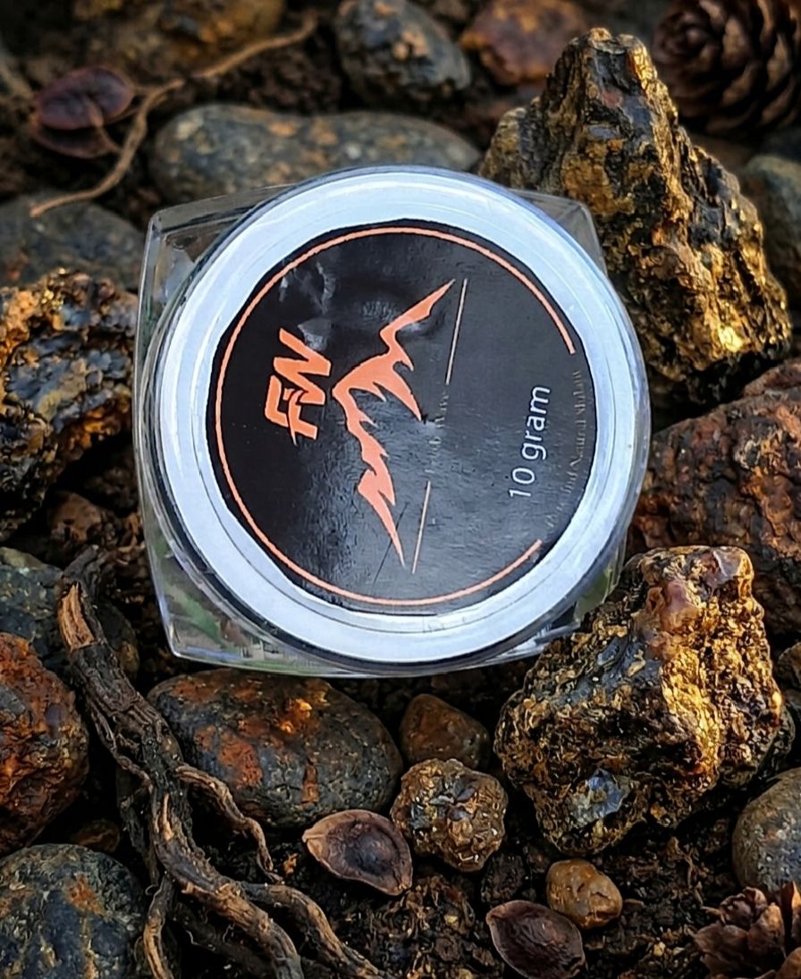 Chitral Shilajit - 10g Premium Organic Resin view 3