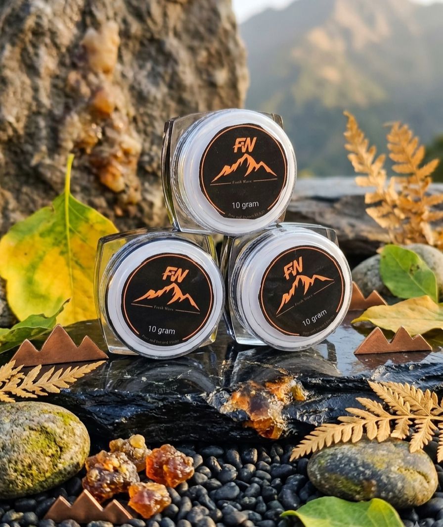 Chitral Shilajit - 10g Premium Organic Resin